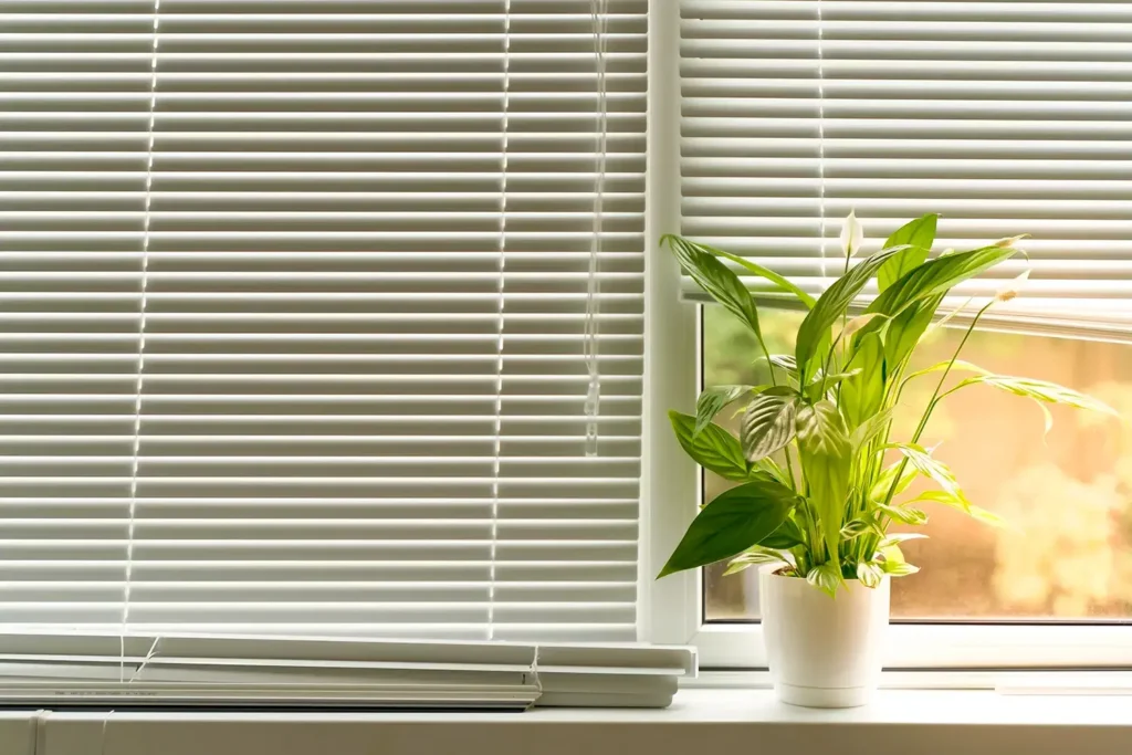 تصميم ستائر زيبرا مودرن 2025 للتحكم في الإضاءة عازلة للحرارة افضل ستائر زيبرا عالية الجوده